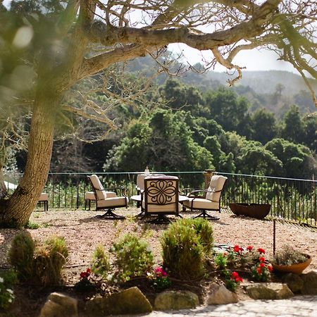 Quinta Da Bella Vista - Historic Home And Farm シントラ エクステリア 写真