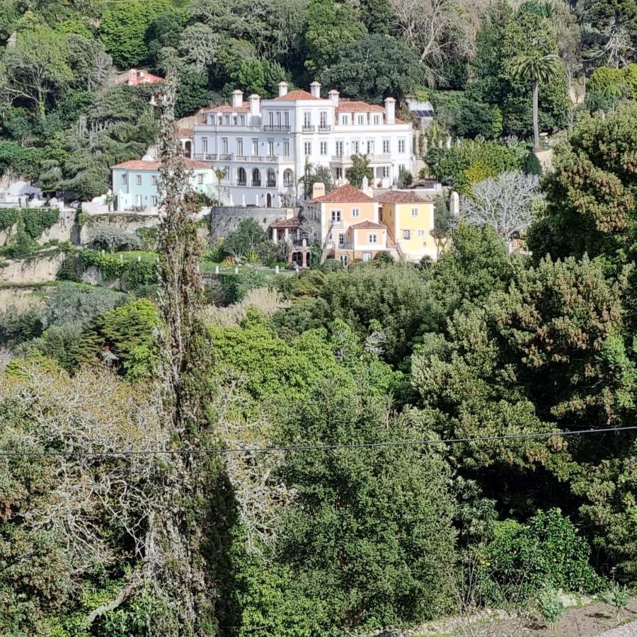 Quinta Da Bella Vista - Historic Home And Farm シントラ エクステリア 写真
