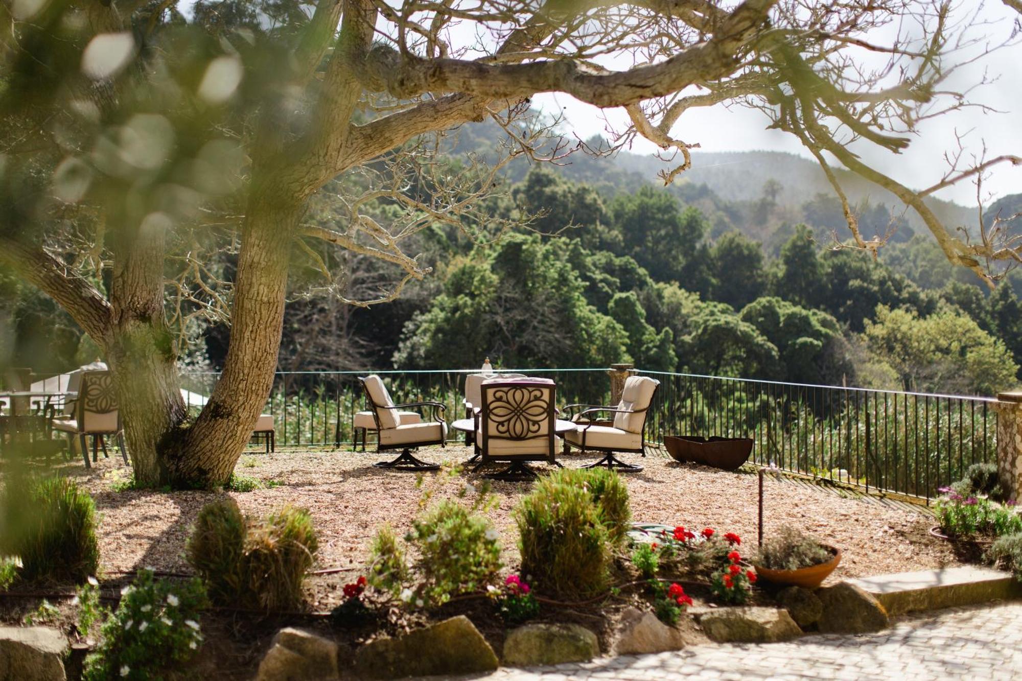 Quinta Da Bella Vista - Historic Home And Farm シントラ エクステリア 写真